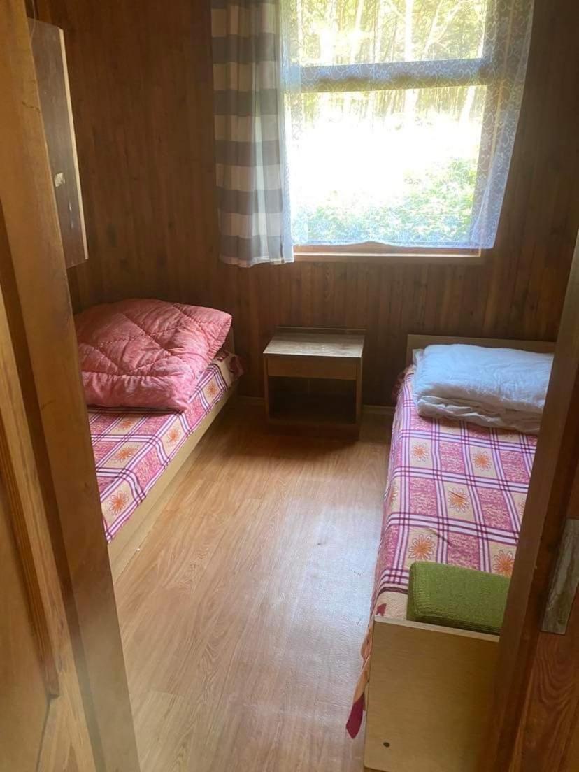 Domki Szumi Las Mrzeżyno Esterno foto