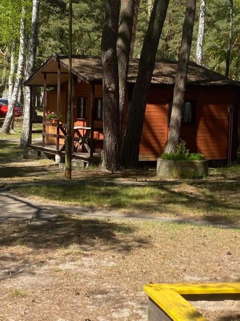 Domki Szumi Las Mrzeżyno Esterno foto